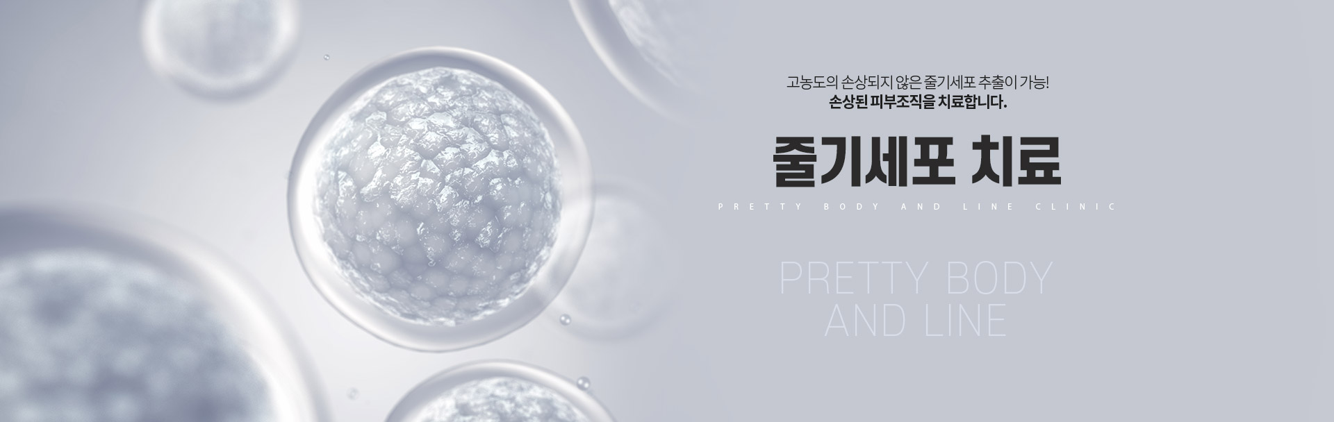 줄기세포 상세01