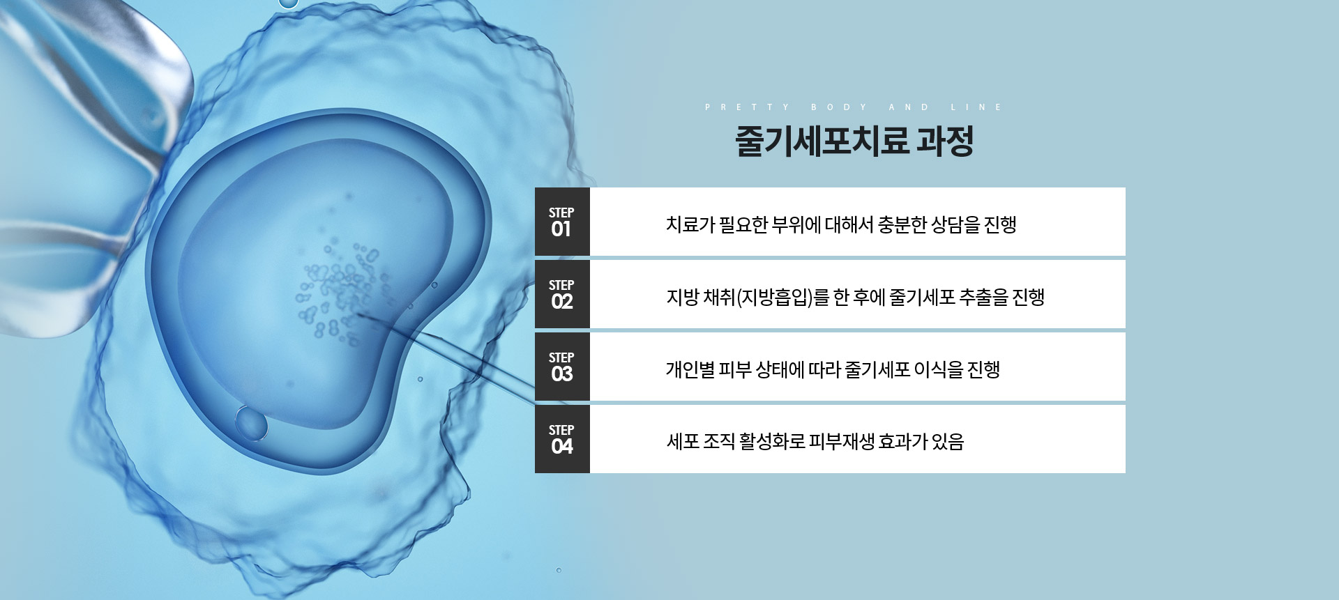 줄기세포 상세03