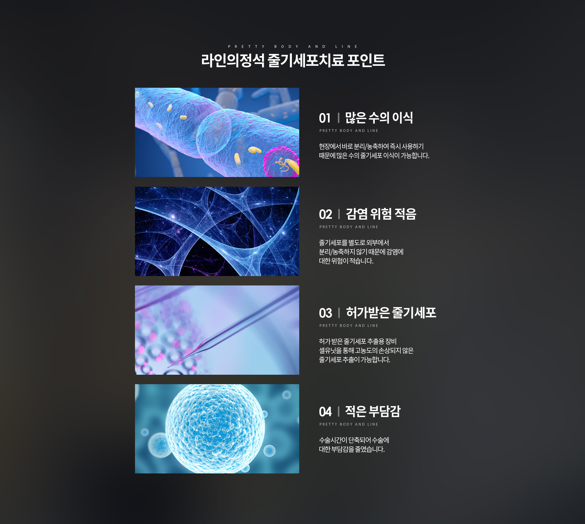 줄기세포 상세05