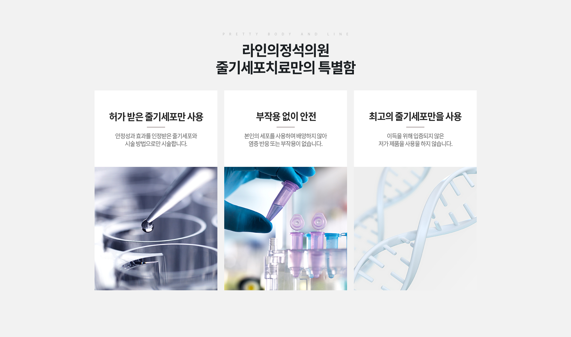 줄기세포 상세06